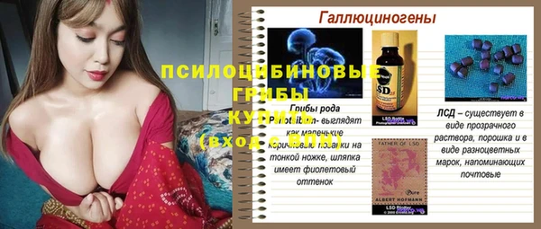хмурый Бородино